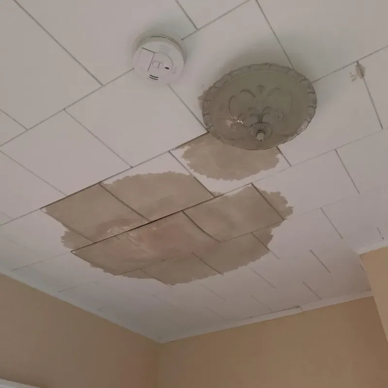 Ceiling Water Damage Repair in Jones County, MS